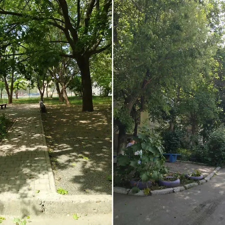 Lustdorf Одесса